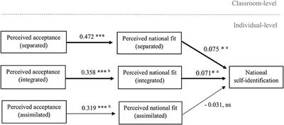 Contingent National Belonging: The Perceived Fit and Acceptance of Culturally Different Peers Predicts Minority Adolescents' Own Belonging